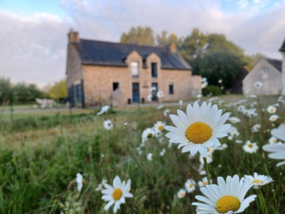 Bed & Breakfast Au Petit Bonheur De Claire Et Jo La Chapelle-Caro